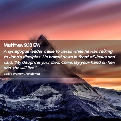 Picture 02 - Matthew 9:18 GW - A synagogue leader came to Jesus while he was - Bible Verse Picture