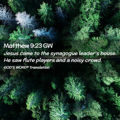 Picture 02 - Matthew 9:23 GW - Jesus came to the synagogue leader’s house. He - Bible Verse Picture