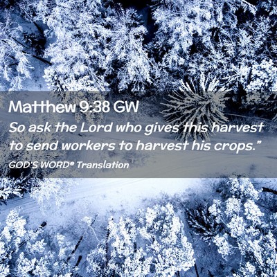 Picture 02 - Matthew 9:38 GW - So ask the Lord who gives this harvest to send - Bible Verse Picture
