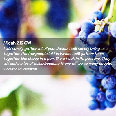 Picture 02 - Micah 2:12 GW - I will surely gather all of you, Jacob. I will - Bible Verse Picture