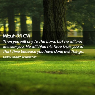 Picture 02 - Micah 3:4 GW - Then you will cry to the Lord, but he will not - Bible Verse Picture