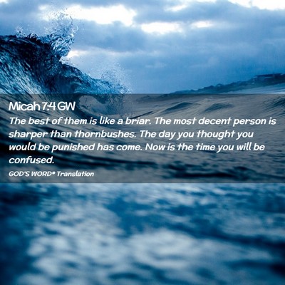 Picture 02 - Micah 7:4 GW - The best of them is like a briar. The most decent - Bible Verse Picture