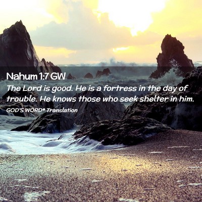 Picture 02 - Nahum 1:7 GW - The Lord is good. He is a fortress in the day of - Bible Verse Picture