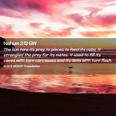 Picture 02 - Nahum 2:12 GW - The lion tore its prey to pieces to feed its - Bible Verse Picture