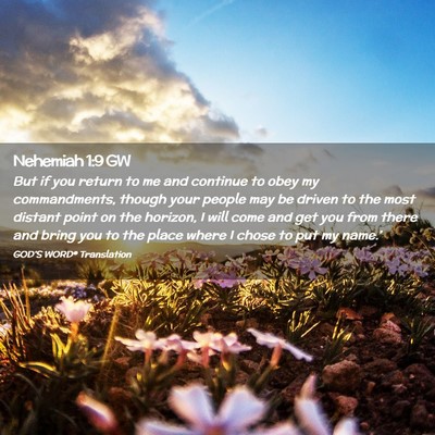 Picture 02 - Nehemiah 1:9 GW - But if you return to me and continue to obey my - Bible Verse Picture