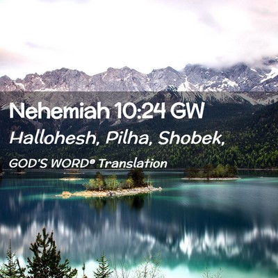 Picture 02 - Nehemiah 10:24 GW - Hallohesh, Pilha, - Bible Verse Picture
