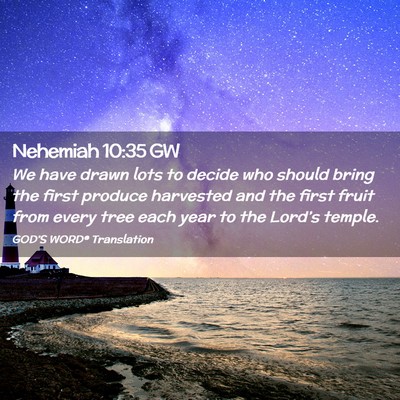 Picture 02 - Nehemiah 10:35 GW - We have drawn lots to decide who should bring the - Bible Verse Picture