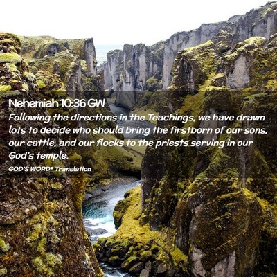 Picture 02 - Nehemiah 10:36 GW - Following the directions in the Teachings, we - Bible Verse Picture