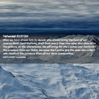 Picture 02 - Nehemiah 10:37 GW - Also, we have drawn lots to decide who should - Bible Verse Picture