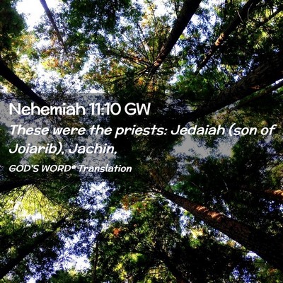 Picture 02 - Nehemiah 11:10 GW - These were the priests: Jedaiah (son of Joiarib), - Bible Verse Picture