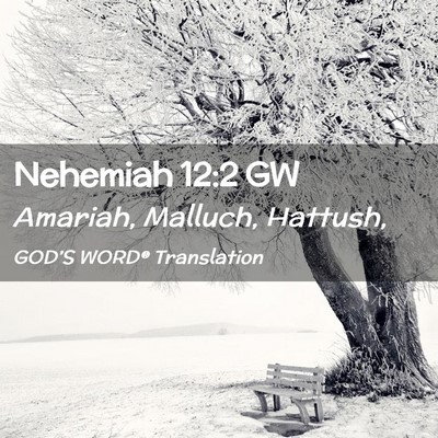 Picture 02 - Nehemiah 12:2 GW - Amariah, Malluch, - Bible Verse Picture