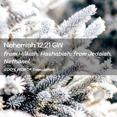 Picture 02 - Nehemiah 12:21 GW - from Hilkiah, Hashabiah; from Jedaiah, - Bible Verse Picture
