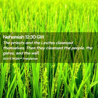 Picture 02 - Nehemiah 12:30 GW - The priests and the Levites cleansed themselves. - Bible Verse Picture