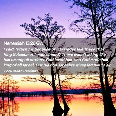 Picture 02 - Nehemiah 13:26 GW - I said, “Wasn’t it because of marriages like - Bible Verse Picture