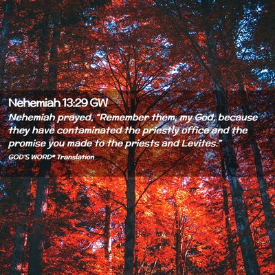 Picture 02 - Nehemiah 13:29 GW - Nehemiah prayed, “Remember them, my God, - Bible Verse Picture