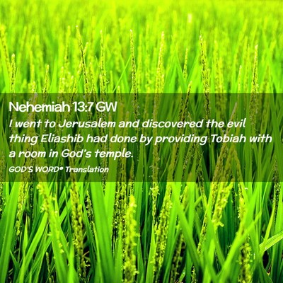 Picture 02 - Nehemiah 13:7 GW - I went to Jerusalem and discovered the evil thing - Bible Verse Picture
