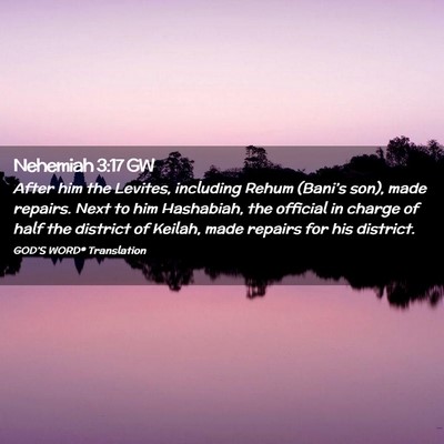 Picture 02 - Nehemiah 3:17 GW - After him the Levites, including Rehum (Bani’s - Bible Verse Picture