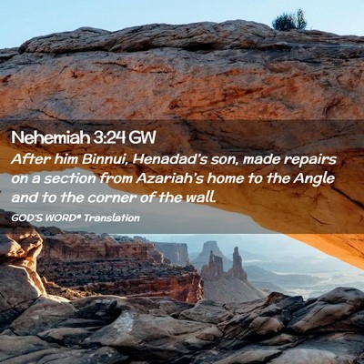 Picture 02 - Nehemiah 3:24 GW - After him Binnui, Henadad’s son, made repairs - Bible Verse Picture