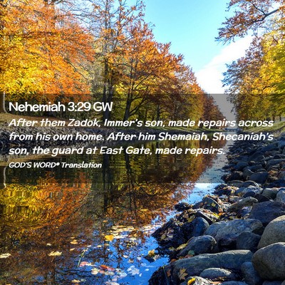 Picture 02 - Nehemiah 3:29 GW - After them Zadok, Immer’s son, made repairs - Bible Verse Picture