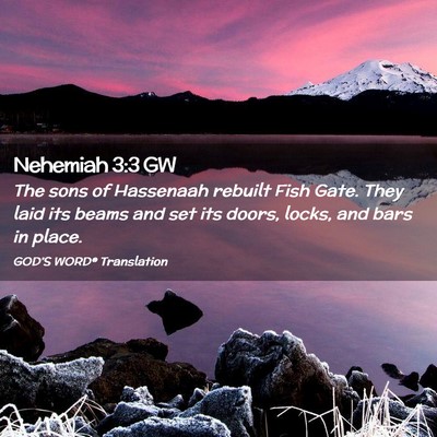 Picture 02 - Nehemiah 3:3 GW - The sons of Hassenaah rebuilt Fish Gate. They - Bible Verse Picture