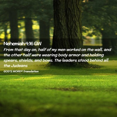Picture 02 - Nehemiah 4:16 GW - From that day on, half of my men worked on the - Bible Verse Picture