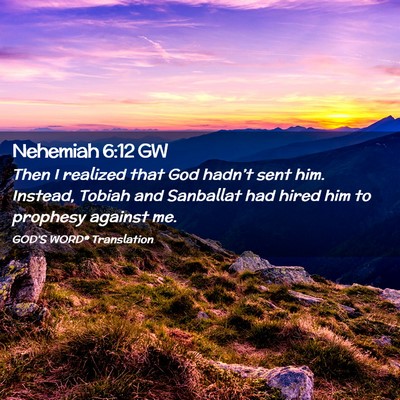 Picture 02 - Nehemiah 6:12 GW - Then I realized that God hadn’t sent him. - Bible Verse Picture