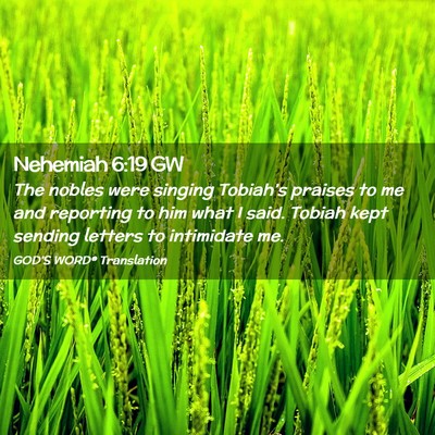 Picture 02 - Nehemiah 6:19 GW - The nobles were singing Tobiah’s praises to me - Bible Verse Picture