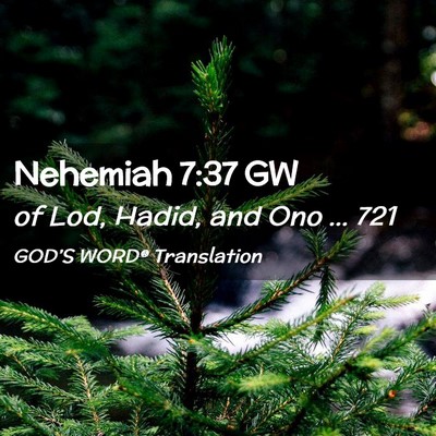 Picture 02 - Nehemiah 7:37 GW - of Lod, Hadid, and Ono … - Bible Verse Picture