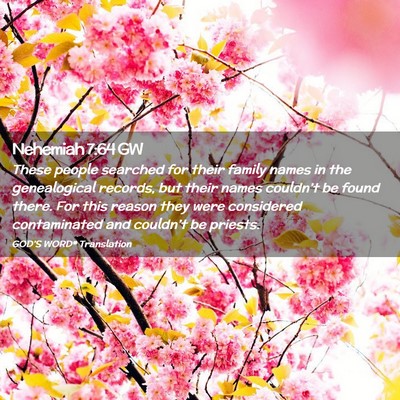 Picture 02 - Nehemiah 7:64 GW - These people searched for their family names in - Bible Verse Picture