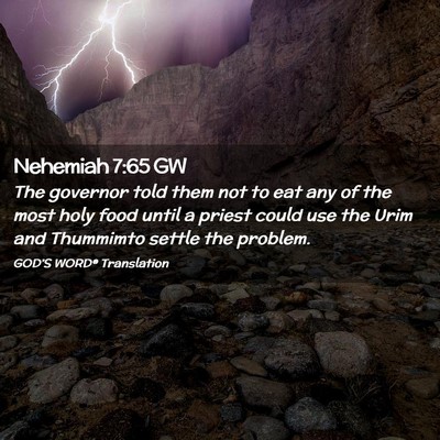 Picture 02 - Nehemiah 7:65 GW - The governor told them not to eat any of the most - Bible Verse Picture