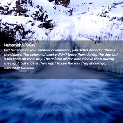 Picture 02 - Nehemiah 9:19 GW - But because of your endless compassion, you - Bible Verse Picture