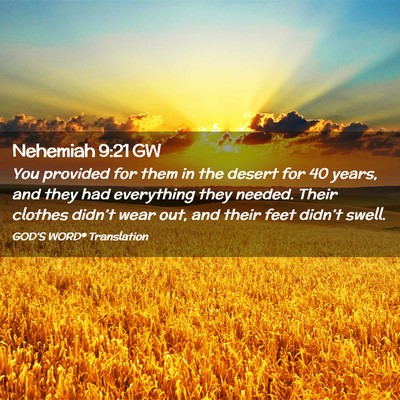 Picture 02 - Nehemiah 9:21 GW - You provided for them in the desert for 40 years, - Bible Verse Picture