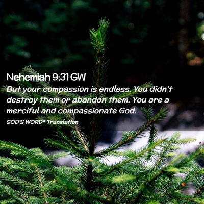 Picture 02 - Nehemiah 9:31 GW - But your compassion is endless. You didn’t - Bible Verse Picture