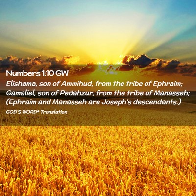 Picture 02 - Numbers 1:10 GW - Elishama, son of Ammihud, from the tribe of - Bible Verse Picture