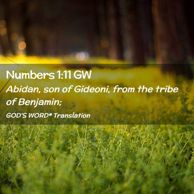 Picture 02 - Numbers 1:11 GW - Abidan, son of Gideoni, from the tribe of - Bible Verse Picture