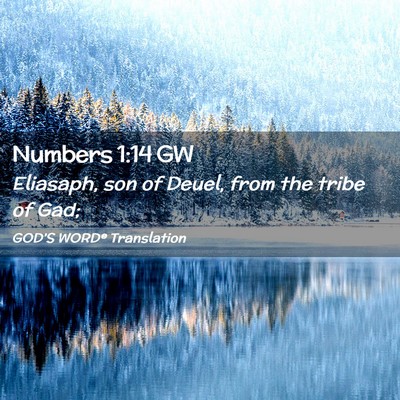 Picture 02 - Numbers 1:14 GW - Eliasaph, son of Deuel, from the tribe of - Bible Verse Picture