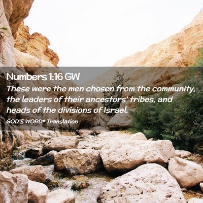 Picture 02 - Numbers 1:16 GW - These were the men chosen from the community, the - Bible Verse Picture