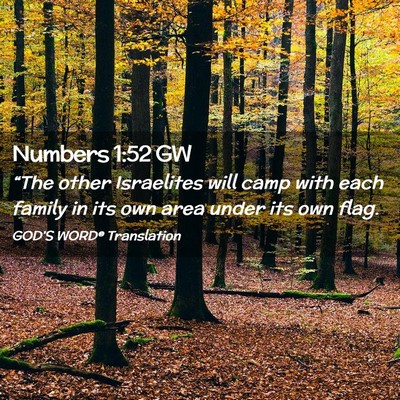 Picture 02 - Numbers 1:52 GW - “The other Israelites will camp with each - Bible Verse Picture