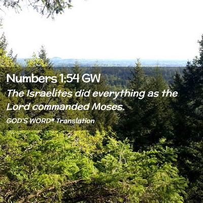 Picture 02 - Numbers 1:54 GW - The Israelites did everything as the Lord - Bible Verse Picture