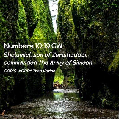 Picture 02 - Numbers 10:19 GW - Shelumiel, son of Zurishaddai, commanded the army - Bible Verse Picture