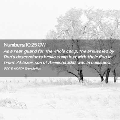 Picture 02 - Numbers 10:25 GW - As a rear guard for the whole camp, the armies - Bible Verse Picture