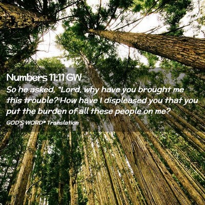 Picture 02 - Numbers 11:11 GW - So he asked, “Lord, why have you brought me - Bible Verse Picture