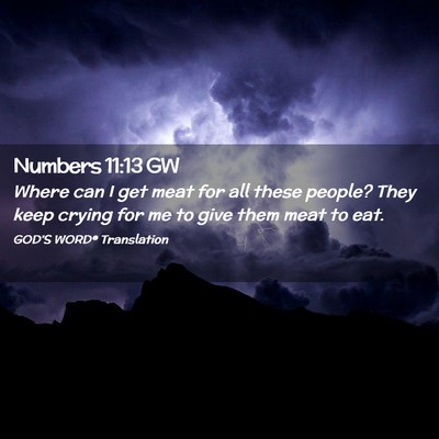 Picture 02 - Numbers 11:13 GW - Where can I get meat for all these people? They - Bible Verse Picture