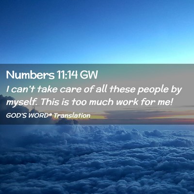 Picture 02 - Numbers 11:14 GW - I can’t take care of all these people by - Bible Verse Picture