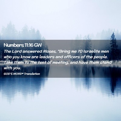 Picture 02 - Numbers 11:16 GW - The Lord answered Moses, “Bring me 70 Israelite - Bible Verse Picture