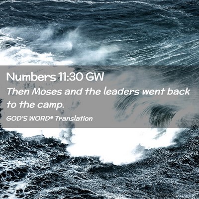 Picture 02 - Numbers 11:30 GW - Then Moses and the leaders went back to the - Bible Verse Picture