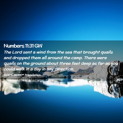 Picture 02 - Numbers 11:31 GW - The Lord sent a wind from the sea that brought - Bible Verse Picture