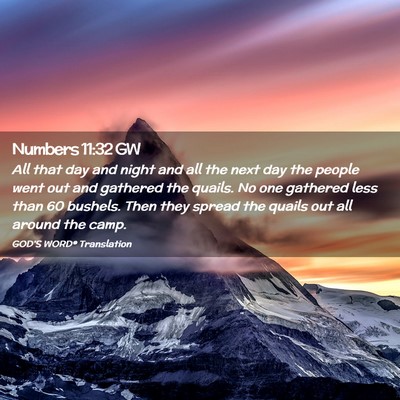 Picture 02 - Numbers 11:32 GW - All that day and night and all the next day the - Bible Verse Picture
