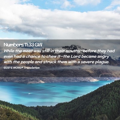 Picture 02 - Numbers 11:33 GW - While the meat was still in their mouths—before - Bible Verse Picture