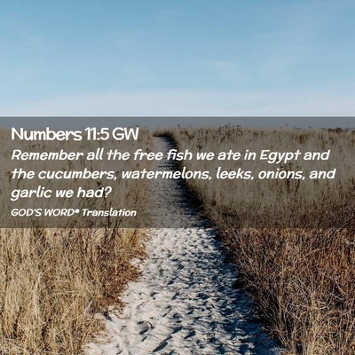 Picture 02 - Numbers 11:5 GW - Remember all the free fish we ate in Egypt and - Bible Verse Picture